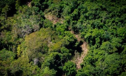 “Con đường dẫn đến sự hỗn loạn” ở Amazon – Nơi nạn đào vàng trái phép tạo ra thảm kịch nhân đạo khủng khiếp - Ảnh 5.