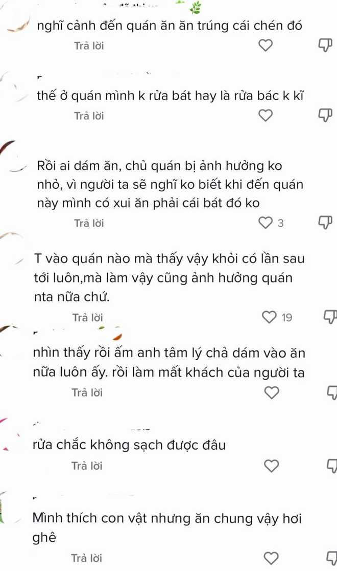  Cô gái cho thú cưng ăn chung bát tại quán khiến cộng đồng mạng tranh cãi dữ dội - Ảnh 3.