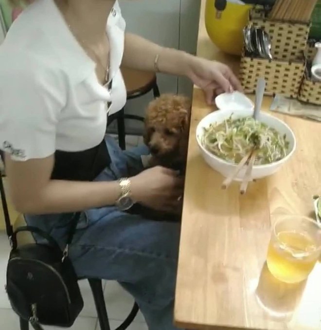  Cô gái cho thú cưng ăn chung bát tại quán khiến cộng đồng mạng tranh cãi dữ dội - Ảnh 2.