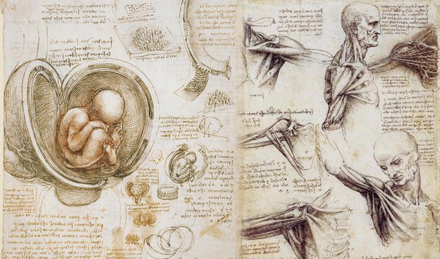 Bất ngờ trước những tiên đoán của thiên tài Leonardo da Vinci về thế giới tương lai: Mọi thứ đều chính xác đến không tưởng - Ảnh 6.