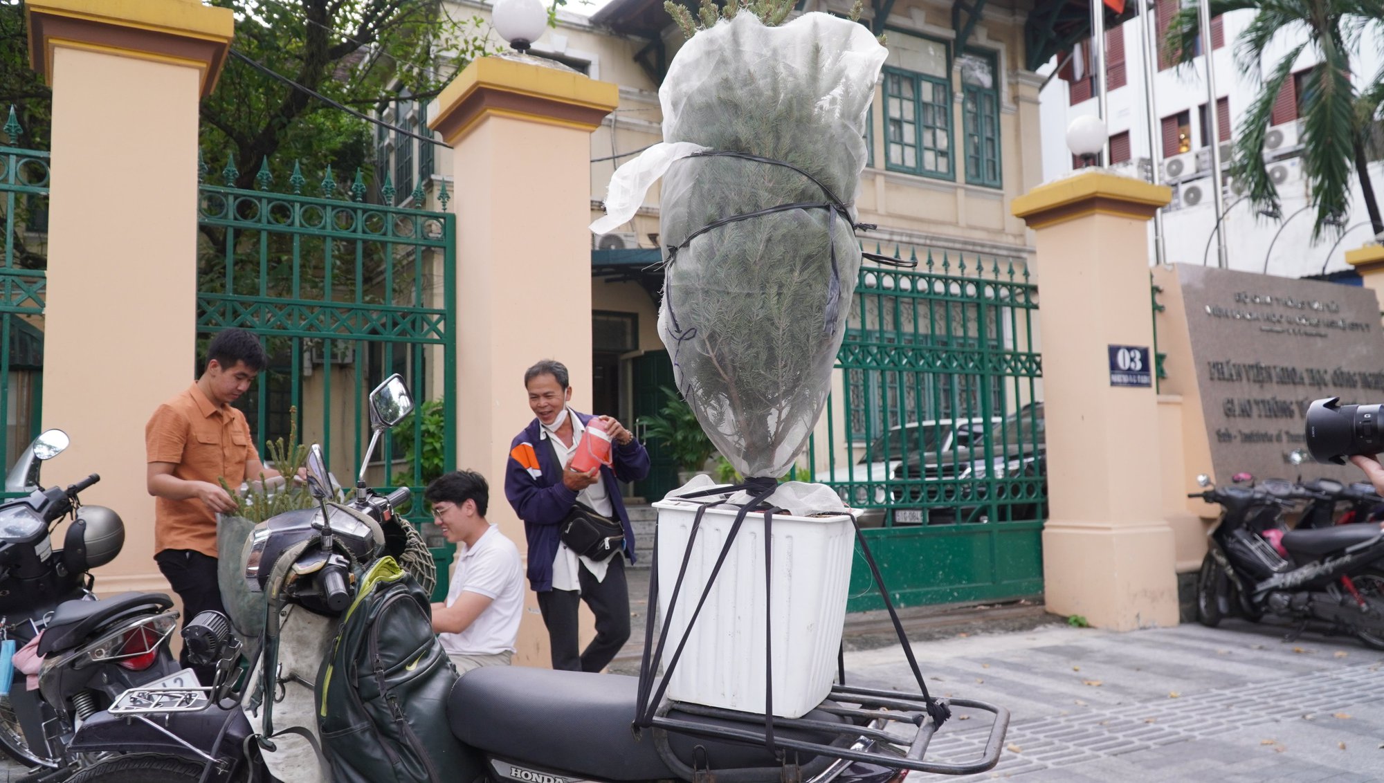 TP.HCM: Người dân chi tiền triệu mua thông tươi chơi Giáng sinh - Ảnh 6. TP.HCM: Người dân chi tiền triệu mua thông tươi chơi Giáng sinh - Ảnh 6.