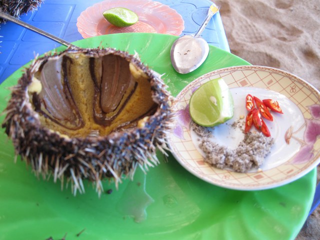 Những đặc sản ăn sống nổi tiếng khắp Việt Nam mà không phải ai cũng can đảm thử - Ảnh 6.