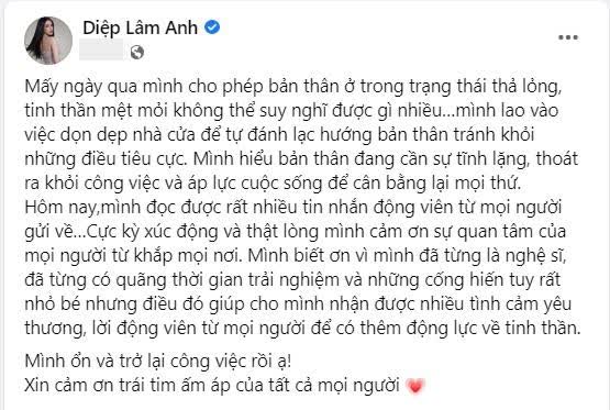 Diệp Lâm Anh trải lòng sau khi tòa xử không được nuôi con - Ảnh 3. Diệp Lâm Anh trải lòng sau khi tòa xử không được nuôi con - Ảnh 3.