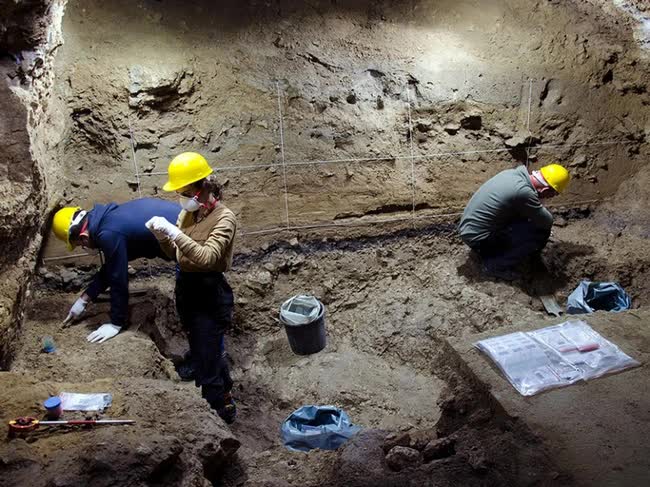 Hóa thạch cho thấy dấu chân đầu tiên đi tới châu Âu thuộc về tổ tiên người châu Á hiện đại - Ảnh 2.
