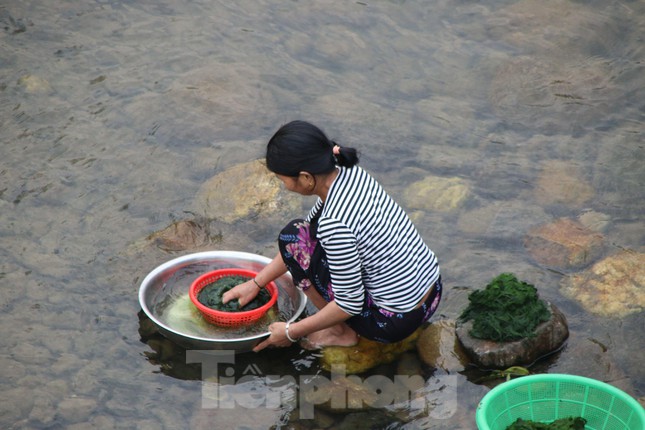  Lội suối hái rêu đá chế biến món ngon ngày Tết  - Ảnh 3.