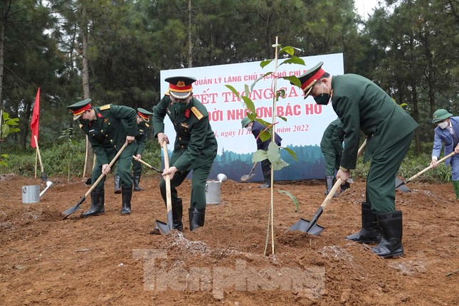 Phát động Tết trồng cây nhớ ơn Bác Hồ tại Khu di tích K9 - Đá Chông - Ảnh 1.