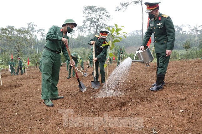 Phát động Tết trồng cây nhớ ơn Bác Hồ tại Khu di tích K9 - Đá Chông - Ảnh 8.