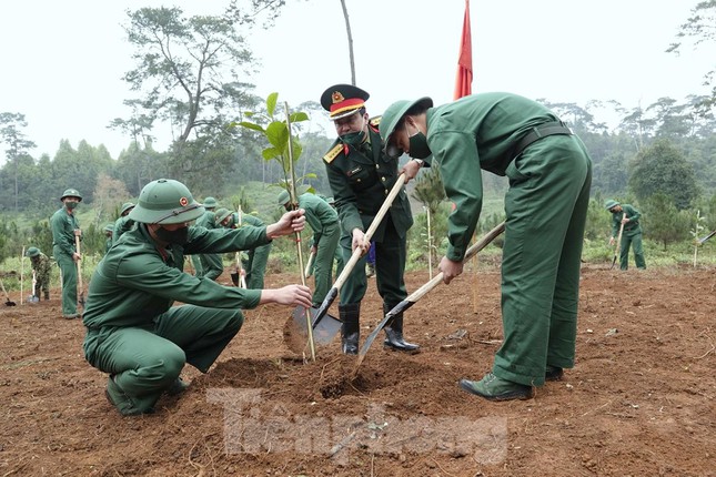 Phát động Tết trồng cây nhớ ơn Bác Hồ tại Khu di tích K9 - Đá Chông - Ảnh 9.