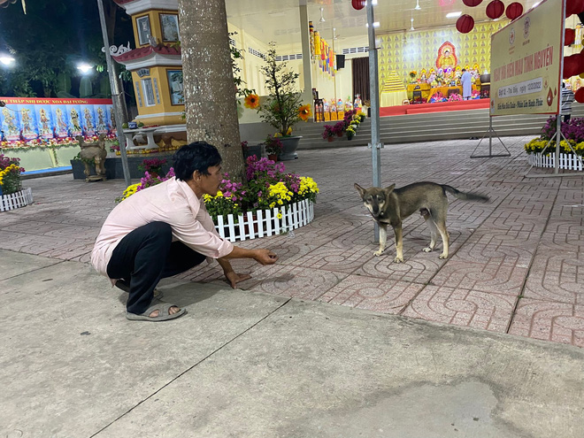 Hình ảnh mới nhất của chủ đàn chó bị tiêu huỷ ở Cà Mau: Hai vợ chồng ghé thăm chú chó còn sót lại trước khi lên Long An làm việc - Ảnh 5.