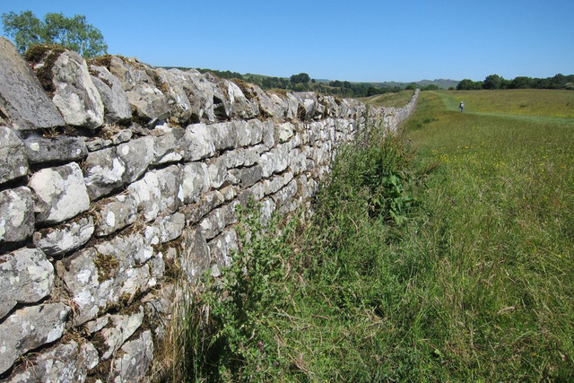 Biến đổi khí hậu đe dọa pháo đài phòng thủ Bức tường Hadrian ở Anh - Ảnh 9.
