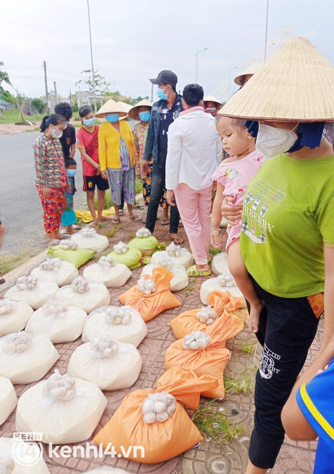 Chủ nhân đàn chó ở Cà Mau gửi lời đến nữ đại gia quận 7: Nếu chị nằm trong hoàn cảnh tui chị mới biết, tui không làm gì để chị thất vọng đâu... - Ảnh 7.