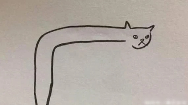 Cậu bé 5 tuổi vẽ tranh con mèo, cô giáo thẳng thừng chê xấu, nhưng khi nhìn thấy bản gốc phải quay ngoắt thái độ - Ảnh 2.