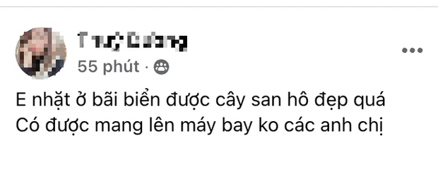  Nhặt được nhánh san hô ở biển, cô gái lên mạng hỏi có mang lên máy bay được không và cái kết run người - Ảnh 1.