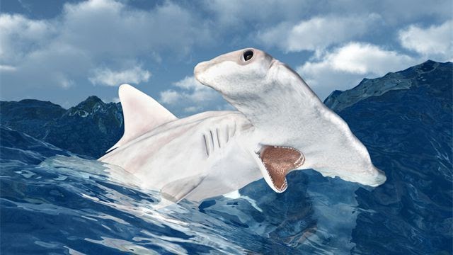 40 sự thật kinh ngạc về cuộc sống: Căn phòng yên tĩnh nhất thế giới nằm ở đâu? - Ảnh 2. 40 sự thật kinh ngạc về cuộc sống: Căn phòng yên tĩnh nhất thế giới nằm ở đâu? - Ảnh 2.