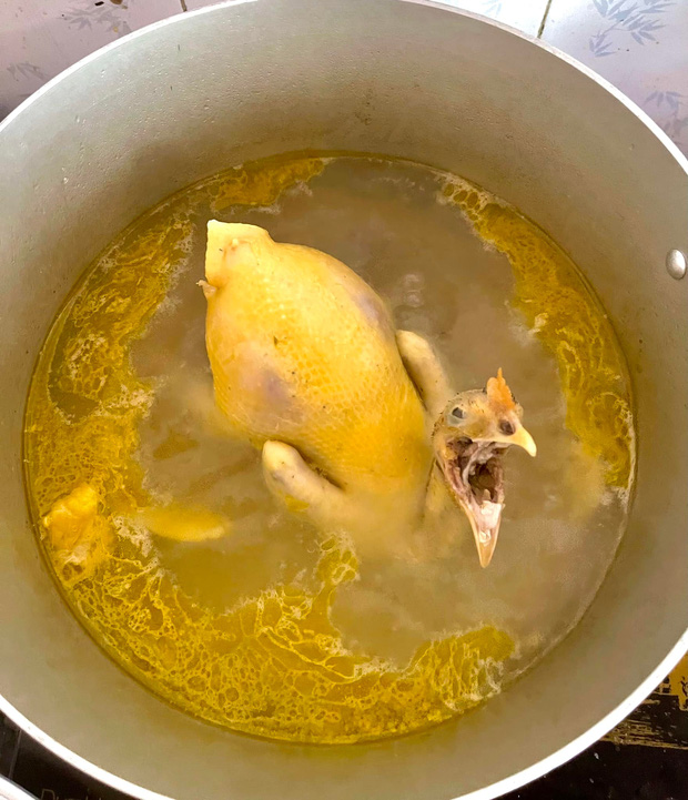 Những siêu phẩm gà luộc gây chấn động giới bếp núc dịp Tết, đầu năm - Ảnh 9. Những siêu phẩm gà luộc gây chấn động giới bếp núc dịp Tết, đầu năm - Ảnh 9.