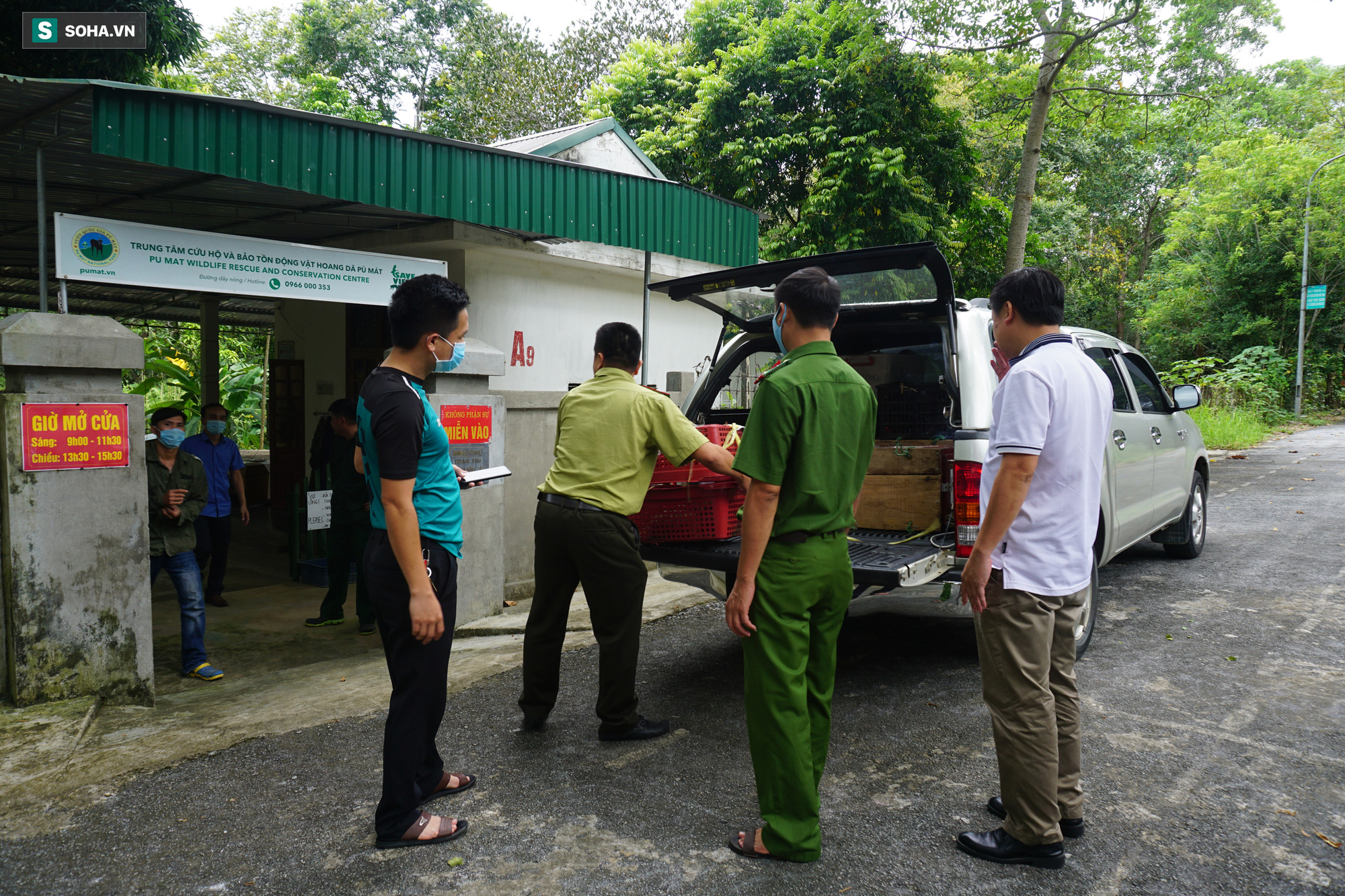 7 con hổ Đông Dương sau khi được giải cứu: Ăn thịt bò loại 1, uống sữa ngoại - Ảnh 4.