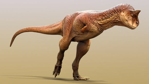 Các nhà khảo cổ vừa phát hiện một loài khủng long cụt tay, nhưng chúng tàn mà không phế - Ảnh 1.