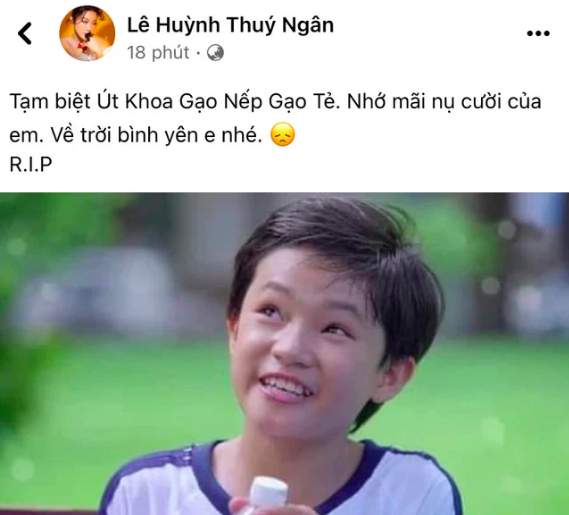 Diễn viên “Gạo nếp gạo tẻ” bị sóng cuốn trôi, đột ngột qua đời ở tuổi 19 - Ảnh 1.