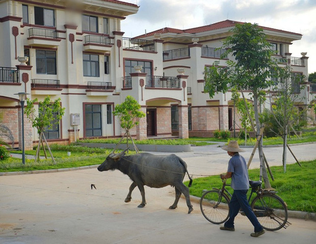 Góc vinh quy bái tổ: Dân làng quyên tiền giúp chàng trai nghèo vào đại học, khi cậu thành tỷ phú bèn xây 250 biệt thự nguy nga tri ân cả làng - Ảnh 6.