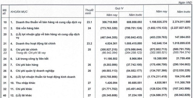 HAGL Agrico lần thứ 3 lỗ nghìn tỷ trong 6 năm, dự kiến 2022 hạch toán lỗ 2.400 tỷ đồng chi phí chuyển đổi vườn cây - Ảnh 1.