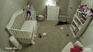 Chó cưng lẻn vào phòng em bé làm 1 hành động bá đạo, chủ xem camera không nhịn được cười - Ảnh 3.
