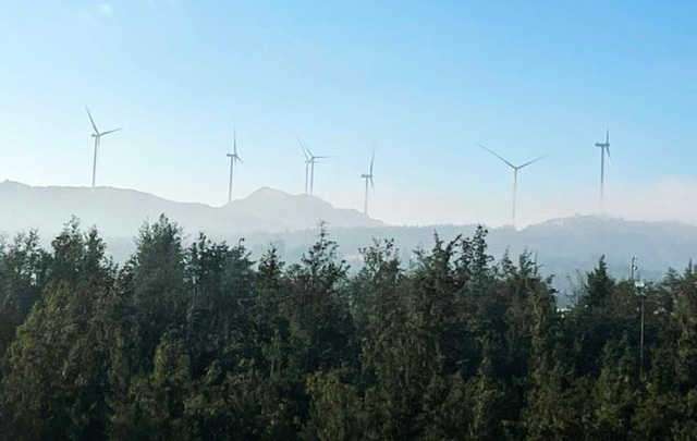  Những c&aacute;nh đồng điện gi&oacute; đẹp như tranh vẽ tr&ecirc;n rừng, dưới biển  - Ảnh 3.