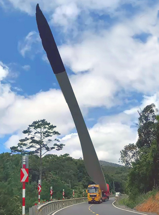  Những c&aacute;nh đồng điện gi&oacute; đẹp như tranh vẽ tr&ecirc;n rừng, dưới biển  - Ảnh 7.