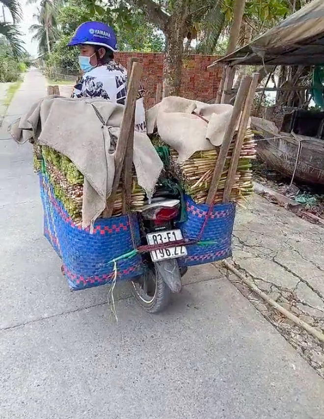 Đặc sản miền Tây 2 bó 15, 3 bó 20 khiến dân mạng nơi khác ngỡ ngàng: Chế biến thế nào, ăn ra làm sao? - Ảnh 2.