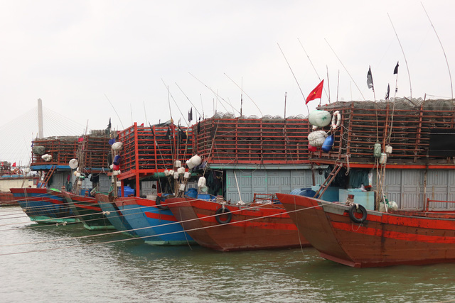 Tàu cá tại Quảng Bình nằm bờ dài ngày do dịch bệnh và giá xăng dầu tặng mạnh - Ảnh 3.