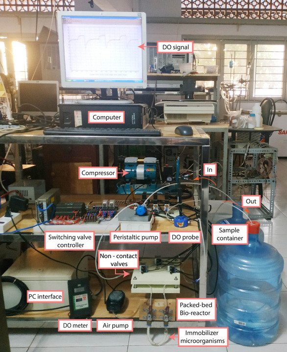 Những nhà khoa học nữ Việt Nam được thế giới vinh danh - Ảnh 3.