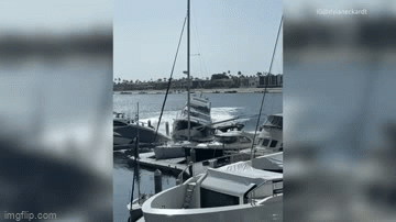 Yacht stolen, the thief did not have time to escape and had to pay dearly, his identity was shocking - Photo 2. Yacht stolen, the thief did not have time to escape and had to pay dearly, his identity was shocking - Photo 2.