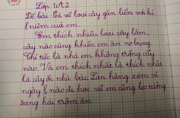 First grader essay describing a surprising tree: I love the most recognized tree in Vietnam, I am embarrassed to read the last sentence to my parents - Photo 1.