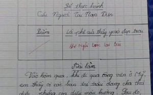 First grader essay describing a surprising tree: I most like the familiar tree in Vietnam, I am embarrassed to read the last sentence to my parents - Photo 2.