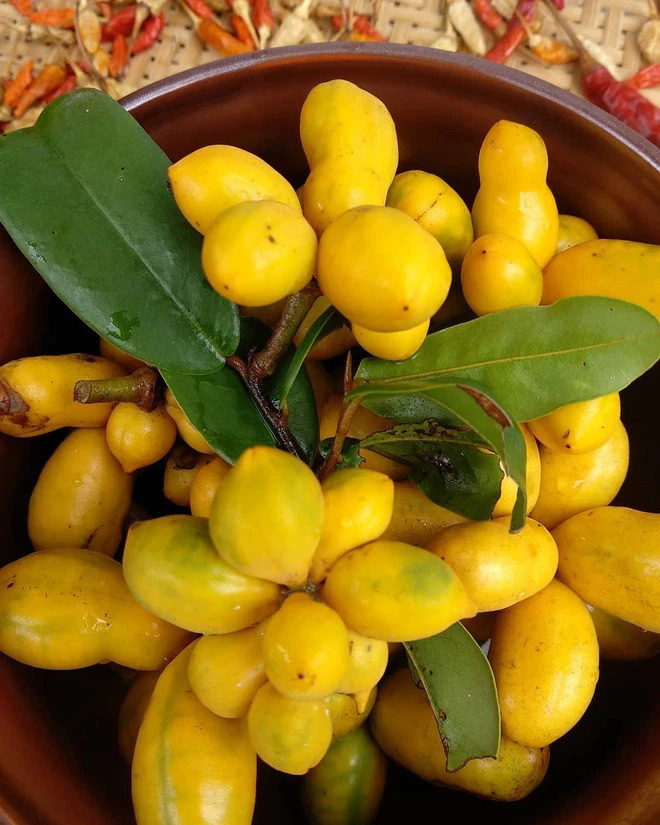 Việt Nam có những loại trái cây thoạt nghe ngỡ như không tồn tại, hình dáng chẳng ai nghĩ là ăn được (Phần 1) - Ảnh 6.