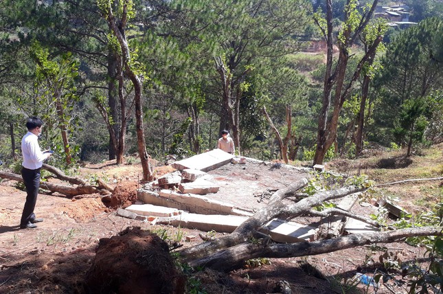  Kỳ lạ những phi vụ ‘chở gỗ về rừng’ ở Lâm Đồng  - Ảnh 4.