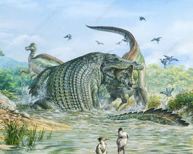 Lần đầu tiên tìm thấy một loài cá sấu ăn thịt khủng long ở Úc, nó đã nuốt chửng cả con khủng long vào bụng - Ảnh 2.