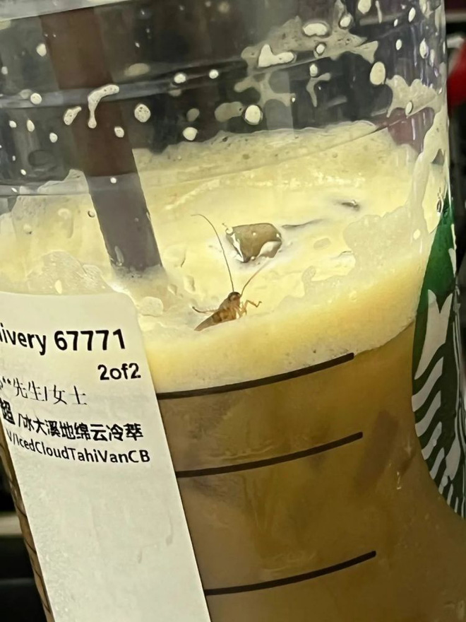 Đang uống dở cốc Starbucks, cô gái hoảng hồn phát hiện topping tặng kèm gián sống nguyên con bên trong, dân tình hoang mang nghe khổ chủ ôn lại kỷ niệm năm xưa - Ảnh 3.
