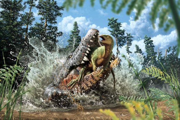 Lần đầu tiên tìm thấy một loài cá sấu ăn thịt khủng long ở Úc, nó đã nuốt chửng cả con khủng long vào bụng - Ảnh 1.
