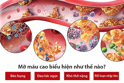 9 bài thuốc đơn giản giúp hạ mỡ máu  - Ảnh 1.