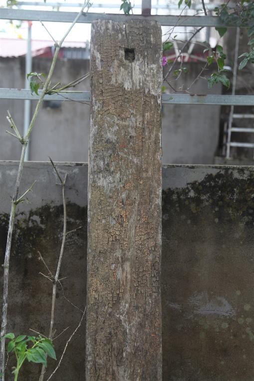 Bí ẩn hơn 100 khúc gỗ lim lớn dưới lòng đất ở Bắc Giang bị khai thác vụng ban đêm - Ảnh 2.