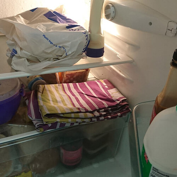 Dùng tủ lạnh chỉ để bảo quản thực phẩm thôi thì quá phí, đây là loạt công dụng hữu ích khác mà 99% người dùng không hề biết - Ảnh 2.