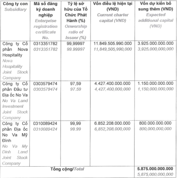 Novaland thông qua kế hoạch góp vốn gần 5.900 tỷ đồng vào các công ty con - Ảnh 1.