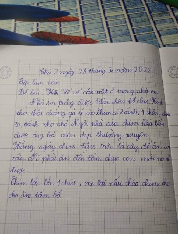 Bài văn tả con vật của học sinh lớp 2 khiến dân mạng được phen dở khóc dở cười - Ảnh 1.