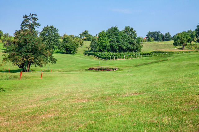  Bóc giá một lần bao toàn sân Golf phải tốn bao nhiêu tiền?  - Ảnh 2.