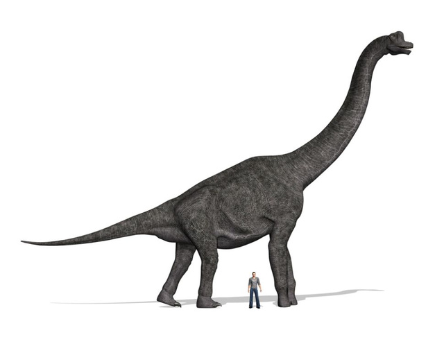 Khủng long Brachiosaurus, chỉ cần nôn thôi đã có thể giết được bạn rồi! - Ảnh 2.