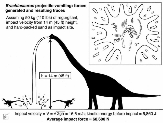 Khủng long Brachiosaurus, chỉ cần nôn thôi đã có thể giết được bạn rồi! - Ảnh 4.