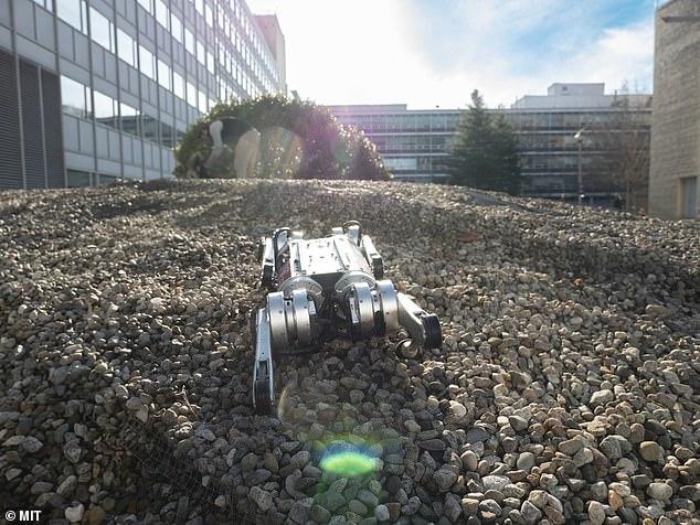 Cheetah robot can learn to run to overcome its own speed limit - Photo 6.