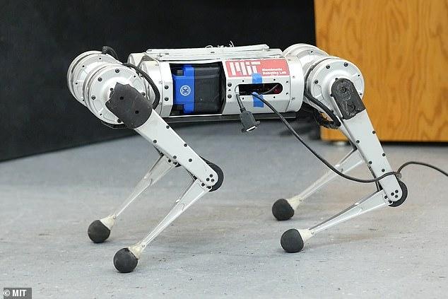Cheetah leopard robot can learn to run to overcome its own speed limit - Photo 2.