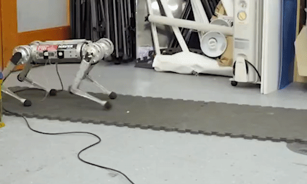 Cheetah robot can learn to run to overcome its own speed limit - Photo 3.