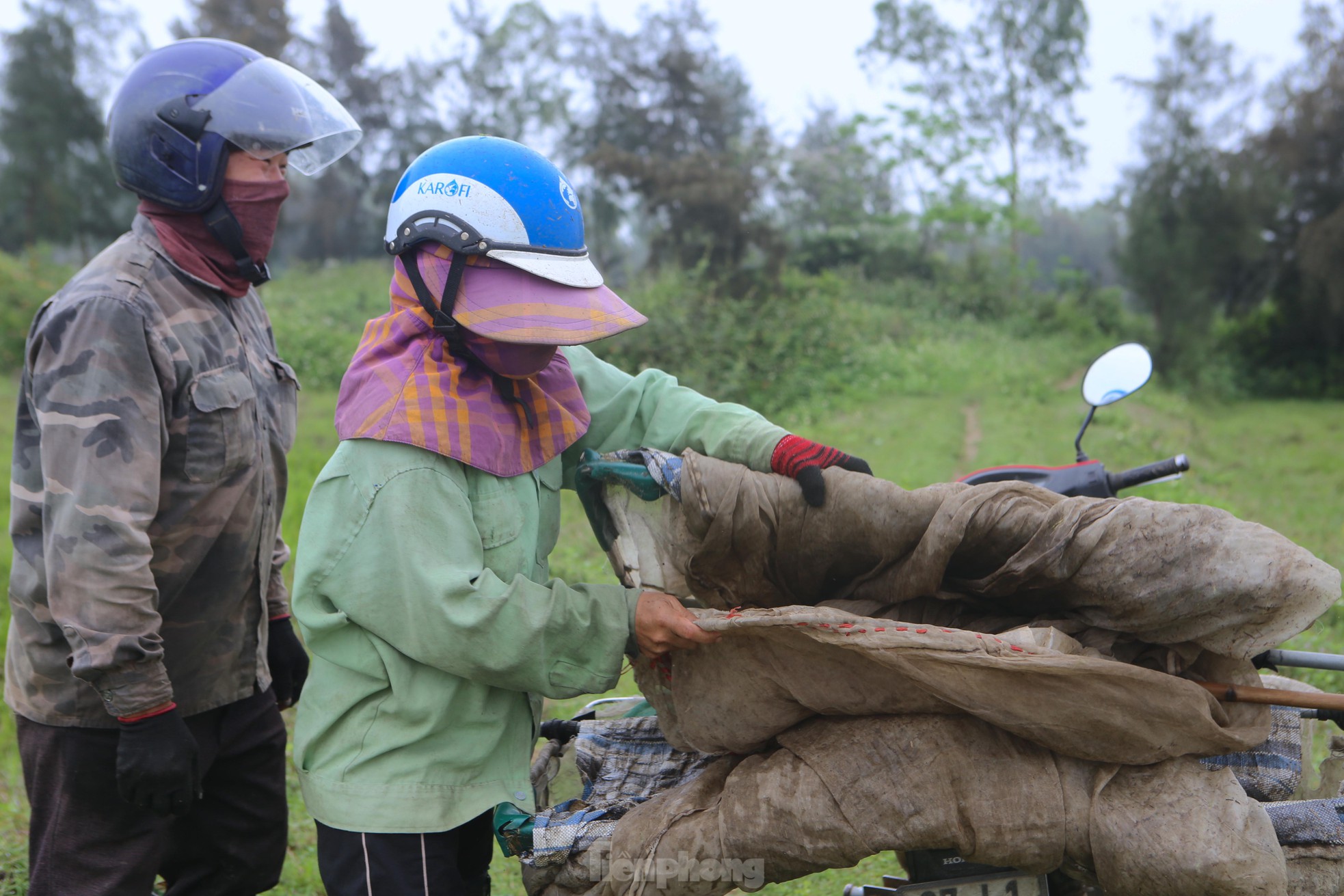 Vượt gần 100km đi săn cào cào, người dân kiếm tiền triệu mỗi ngày - Ảnh 1.